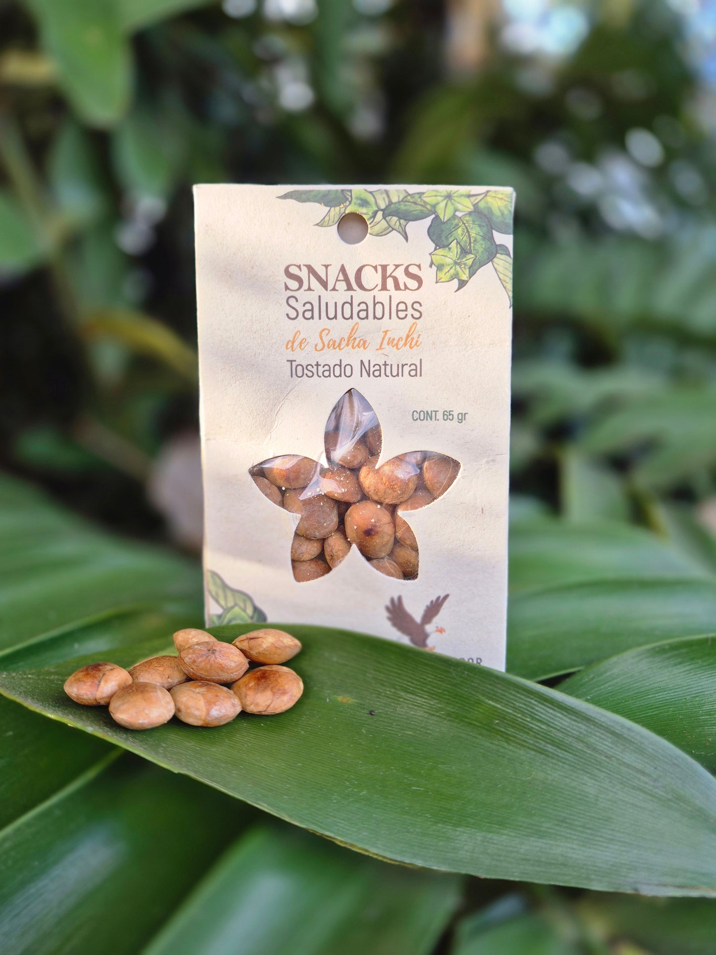 Pure and Simple: Natural Sacha Inchi Nuts